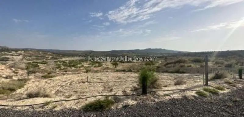 Parcela Rustica en Venta Orihuela San Onofre