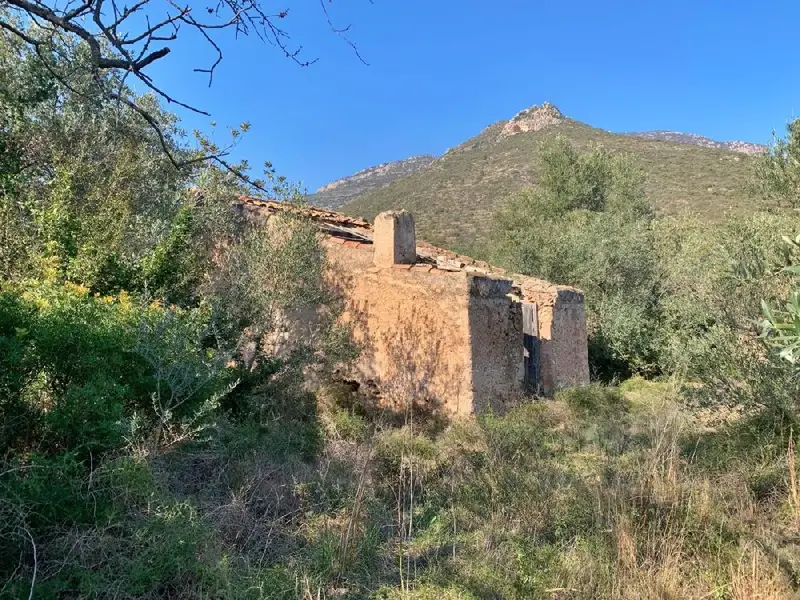 Venta Finca Roquetes