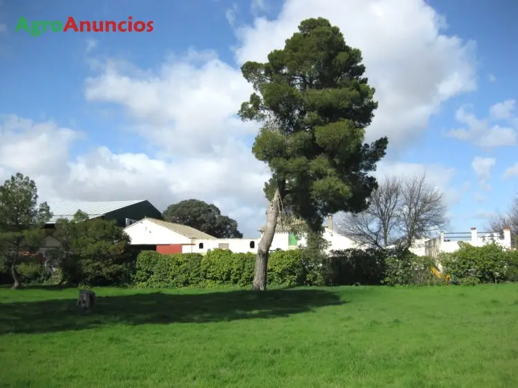 Venta  de Finca de regadío en Jaén