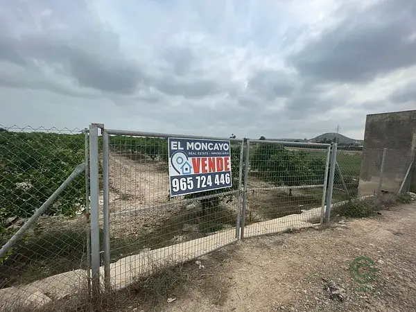 Huerto de Citricos en Rojales Alicante Alta Rentabilidad