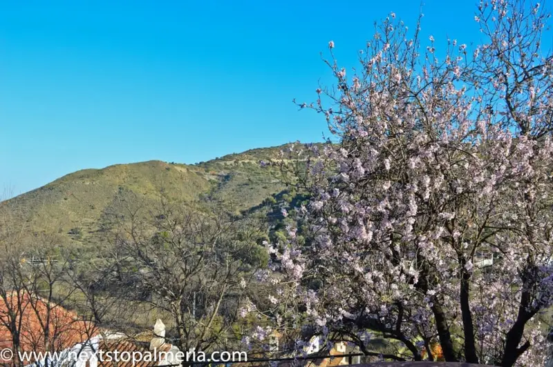 Casa de Pueblo con Encanto en El Marchal Lubrin