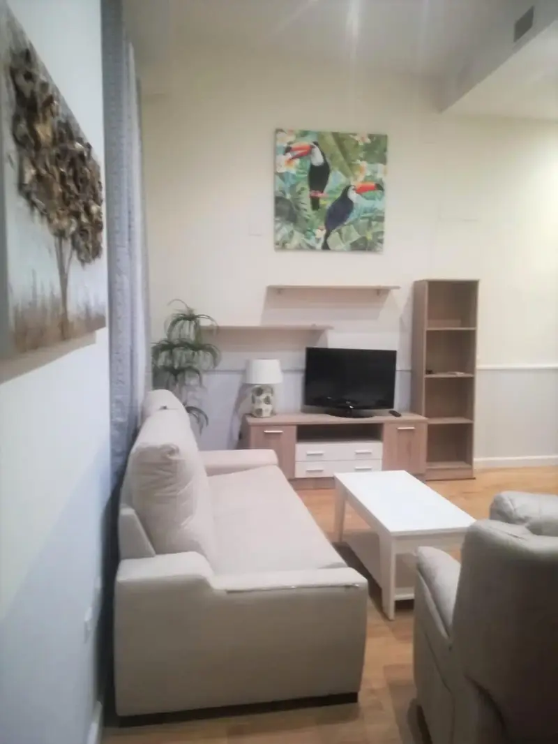 Venta Piso Nervion Centro Sevilla Planta Baja Reformada