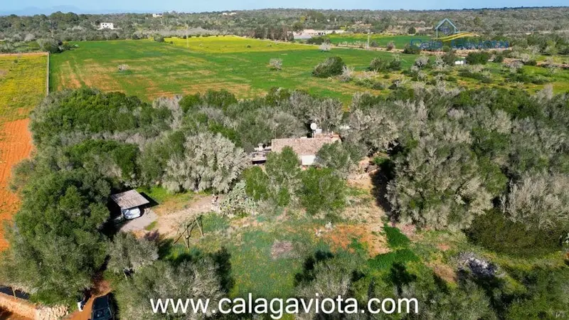 Finca Rustica en Venta Ses Salines Mallorca