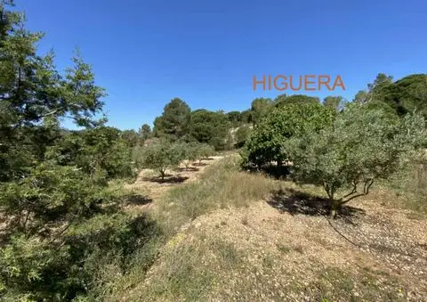 Terreno en Venta Jesus Ibiza - Chalet y Piscina