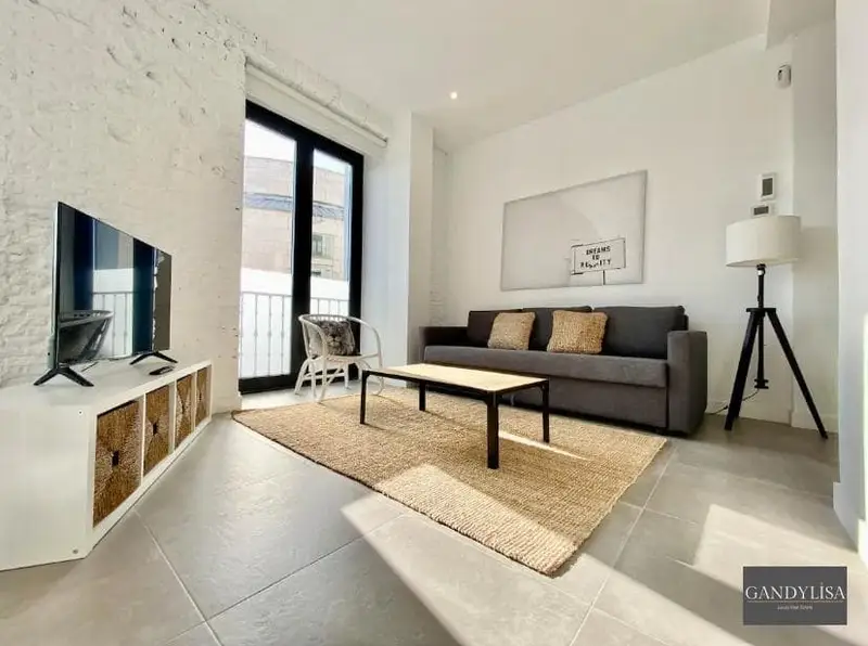 Apartamento con Licencia Turistica en La Latina Madrid Alta Rentabilidad