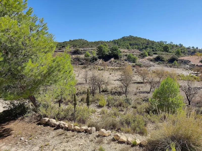 Casa Rural en Venta Monovar Alicante Montaña