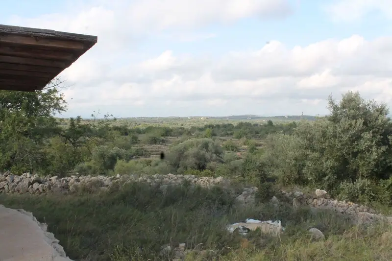 Finca Rustica en Cervera del Maestre con Vistas al Mar