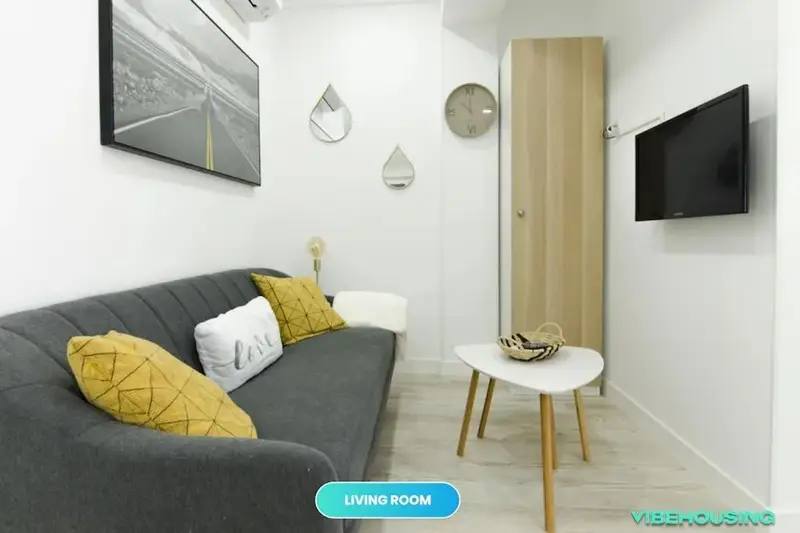 Apartamento 1 Dormitorio 1 Baño en Madrid