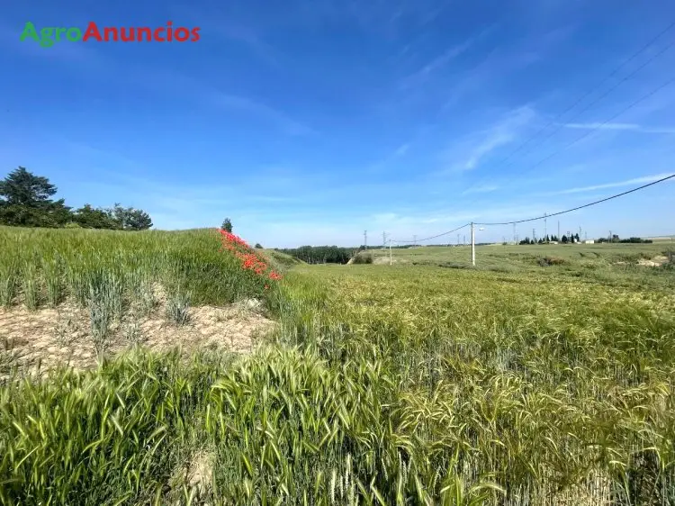 Venta  de Terreno de secano en Palencia