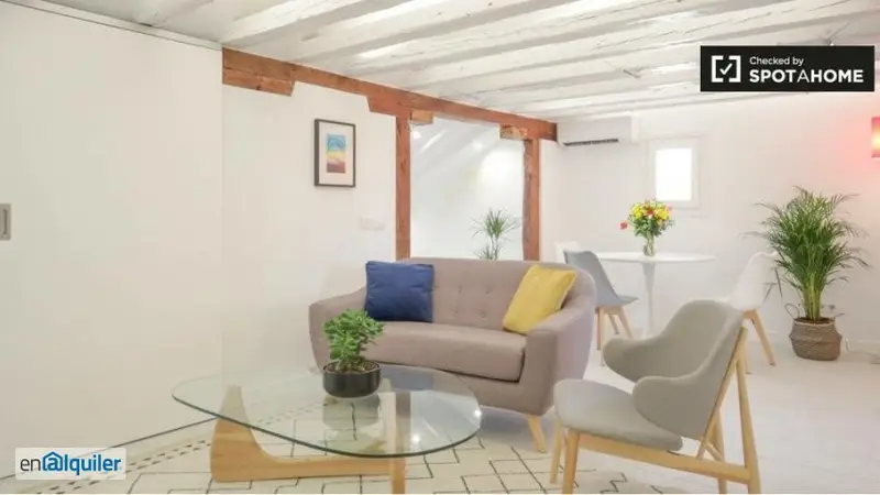 Apartamento Amueblado 1 Dormitorio Palacio Madrid Profesionales