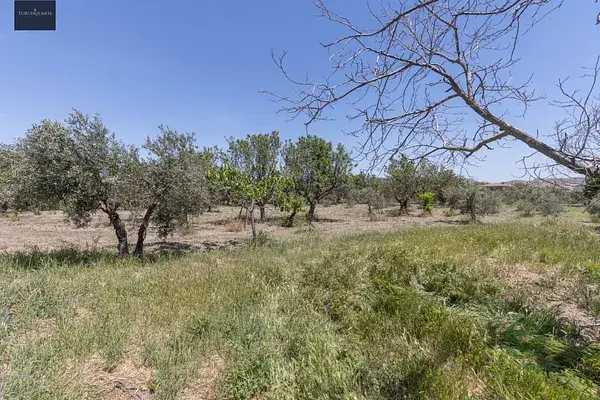 Finca Rustica Granada 03ha Arboles Frutales Huerta