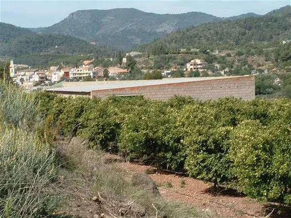 Finca Agricola en Onda 1163ha