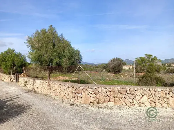 Solar con Licencia en Manacor 14206m2 Casa 208m2 Piscina