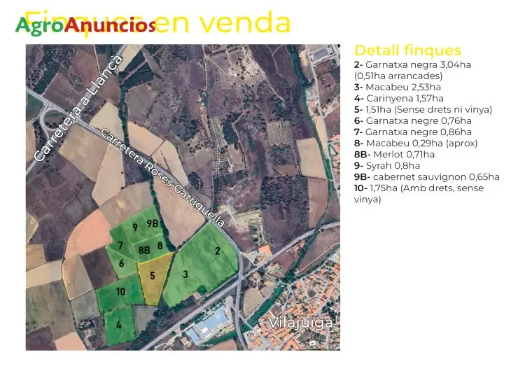 Venta  de Finca de viñas de secano en Girona