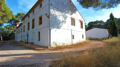 Finca Rústica en Alquiler Ibi Alicante