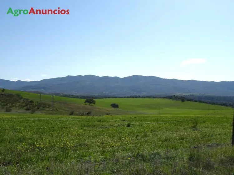 Venta  de Terreno de secano en Jaén