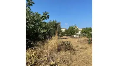 Casa Rustica en Venta Yegen Alpujarra Granadina