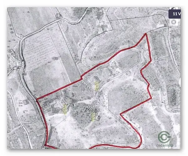 Tres Chalets en Parcela de 36ha Elche Alicante
