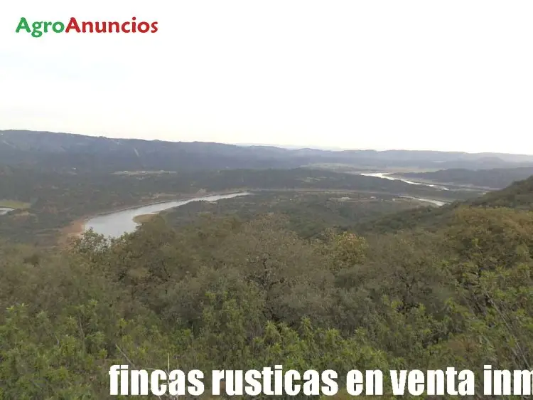 Venta  de Finca de caza con monte y pastos en Córdoba