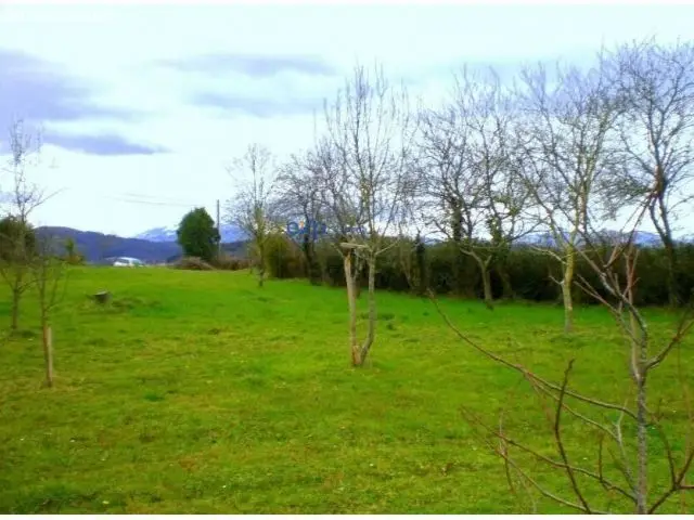 Venta Parcela Vidriera Llanera Asturias 2600m2