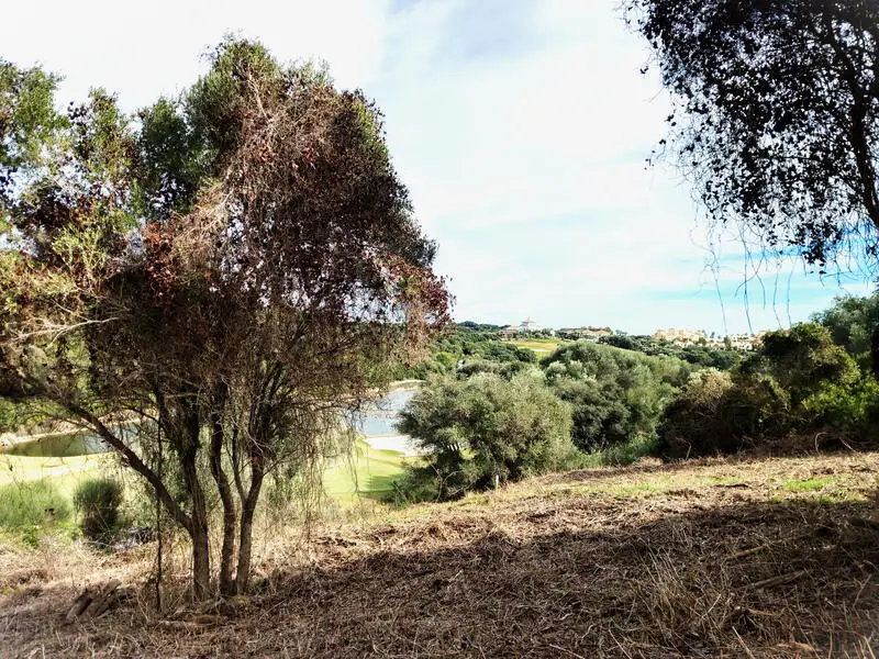Parcelas de Lujo en Venta Sotogrande La Reserva Club