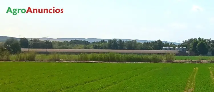 Venta  de Finca con dos naves en Zaragoza