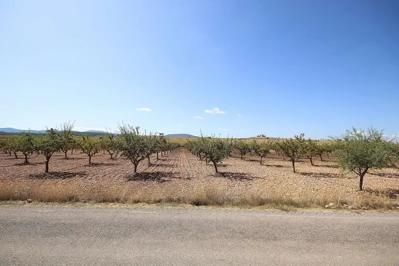 Parcela Edificable en Lel cerca de Pinoso Alicante