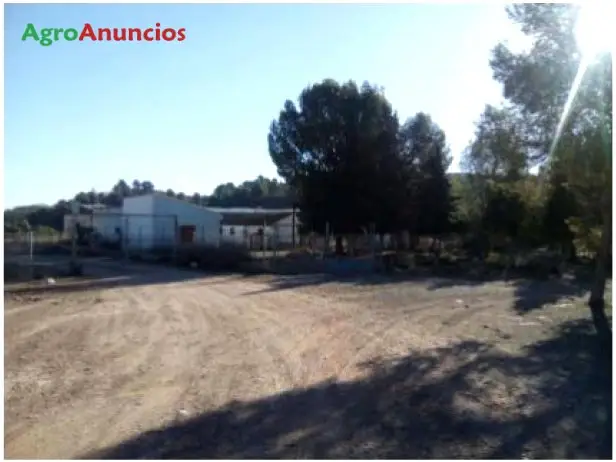 Venta  de Finca con naves agrícolas en Murcia