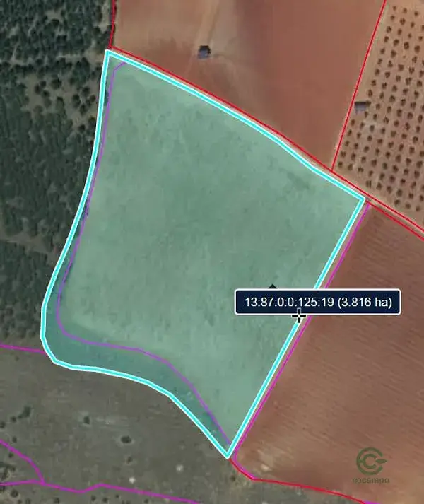 Finca Rustica 4ha Ciudad Real Valdepenas