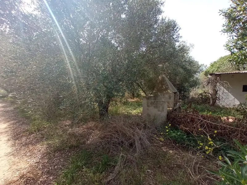 Terreno Rustico en Amposta Tarragona 1463m2