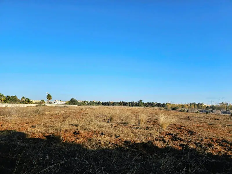 Terreno Rustico Plano en Denia