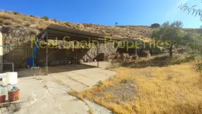 Finca rústica en venta en Vélez-Rubio