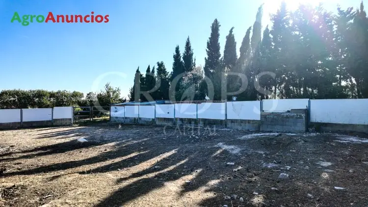Finca Ecuestre en Cadiz 28 ha Regadio Boxes Parideras