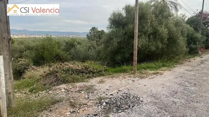 Venta Terreno Monte Jucar Alberic 1587m2