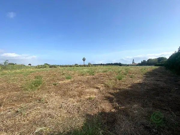 Terreno Rustico Els Poblets 12740m2 Cerca Playa