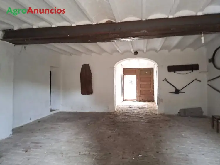 Venta  de Finca de regadío en Castellón