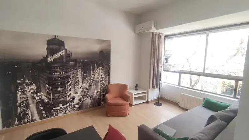 Apartamento 1 Dormitorio 1 Baño Madrid