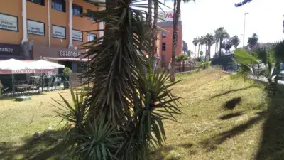 Apartamento en Alquiler Cerca UPO