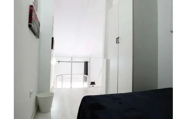 Estudio 30m² Madrid Alquiler Online Estudiantes Profesionales
