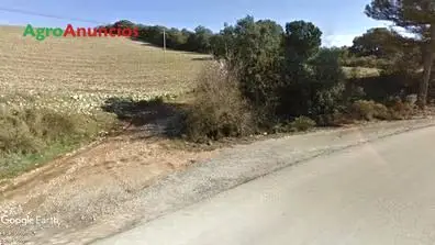 Venta  de Finca con olivos de secano y monte en Granada