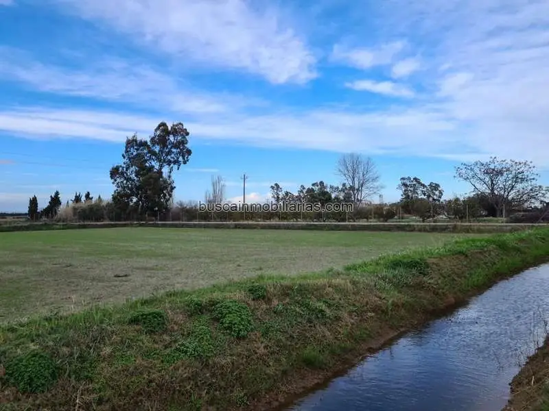 Finca Rústica en Venta Amposta Delta del Ebro 2517m2