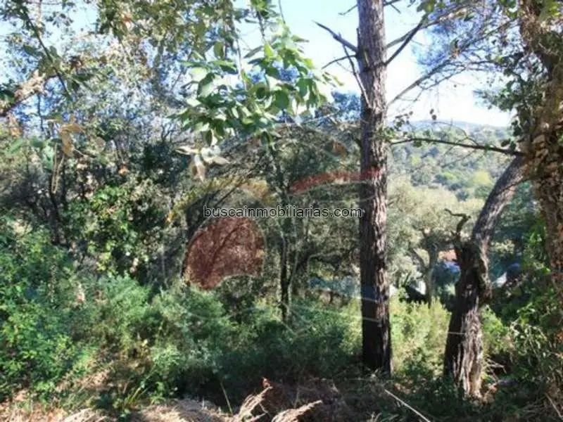 Parcela en Venta Calonge 670m2  Casa de dos Plantas