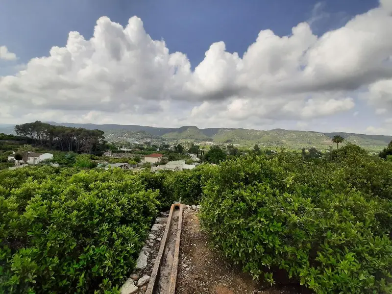 Venta Finca Naranjos Aguas Vivas Alzira