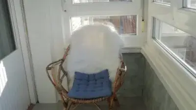Piso en alquiler en Centro
