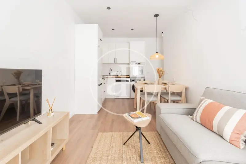 Apartamento Reformado en Paseo Castellana Madrid
