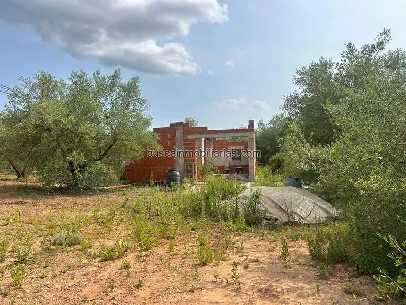 Finca Rustica en Freginals con Olivos y Caseta
