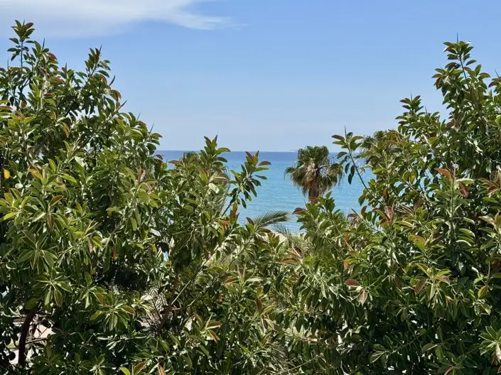 Apartamento en Venta 3 Dormitorios Terraza Vistas al Mar