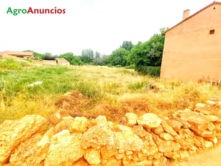 Venta  de Solar urbano en Segovia