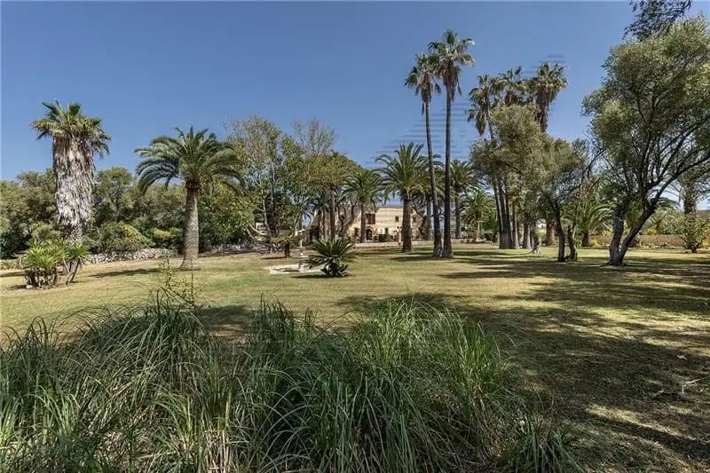 Finca Rustica en Venta Muro Mallorca