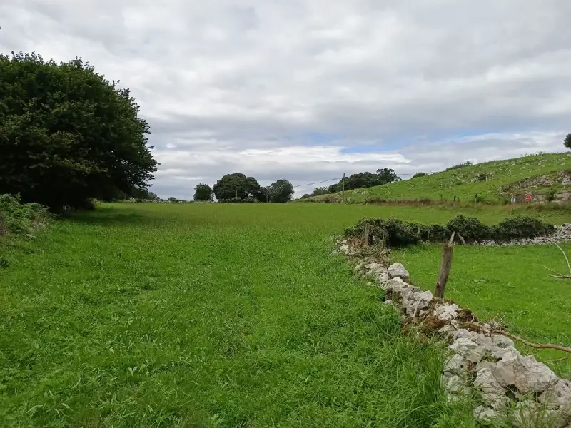 Venta Finca Rustica Poo Llanes 11000m2
